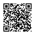 To view this 2014 Chevrolet Volt Freeport IL from Tormohlen's Good People Automotive | BHPH Used Cars | Freeport IL | Janesville WI, please scan this QR code with your smartphone or tablet to view the mobile version of this page.