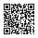 To view this 2009 Pontiac Vibe Freeport IL from Tormohlen's Good People Automotive | BHPH Used Cars | Freeport IL | Janesville WI, please scan this QR code with your smartphone or tablet to view the mobile version of this page.